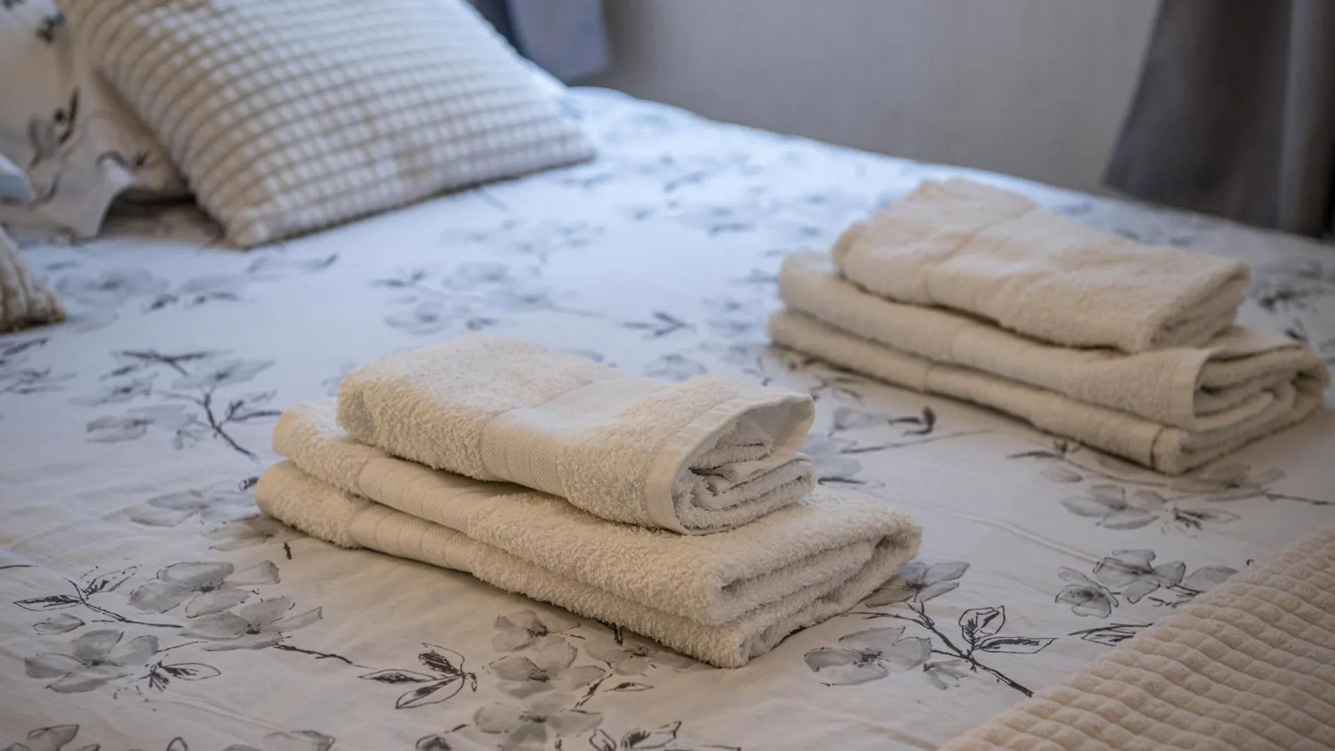 Cosy Eugenie Au Pied De L'Opera Et Du Kiosque Apartment Vichy 0*,